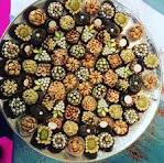 Nougat amande parfumé à la rose la pièce