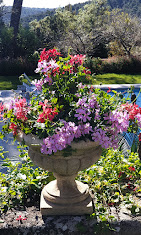 Commande de vos plantes du mois dans la rubrique "Bons plans"