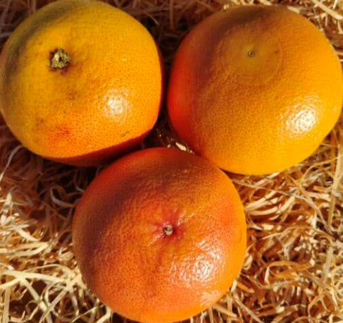 Pomelos 2/3pces