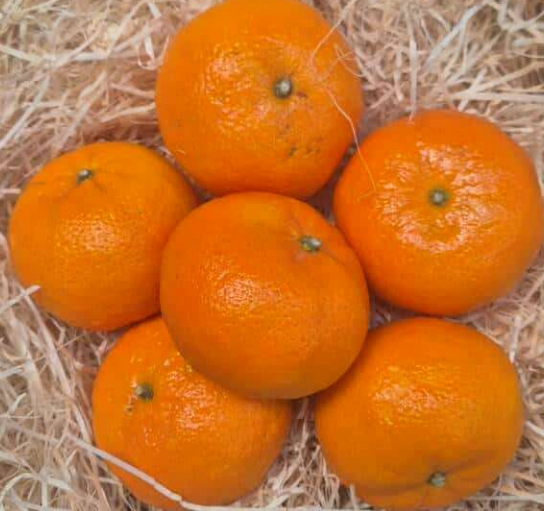 Mandarines 700g