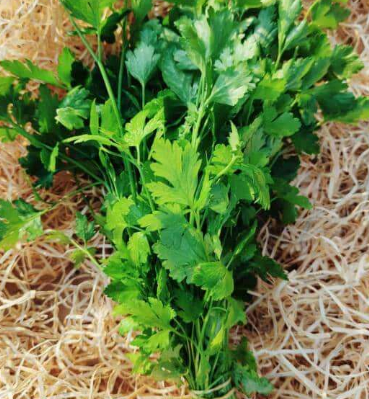Persil bouquet