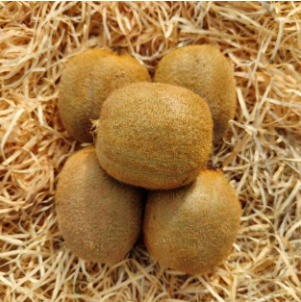 Kiwis verts 4-5 pces