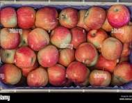 La caisse de 13 kg de pomme Fuji en raisonné