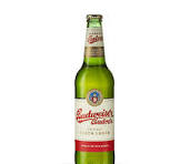 Budweiser Budvar 50cl Républic Tchèque 5%