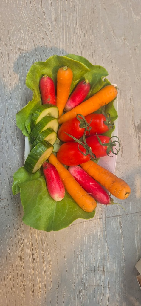 Planche de légumes cru et sauce fromage blanc