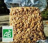 Cerneaux de noix BIO en 800g