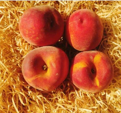 Pêches 3-4 pces 700g