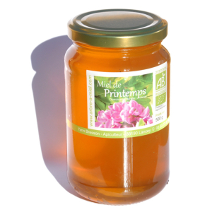 Miel printemps 500 g