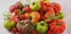 Plateau tomate mélangée 4 Kg