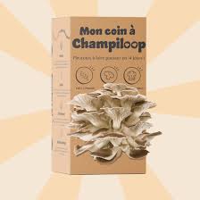 Pleurotes séchés 30g