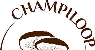 Les Ateliers Champignons sur devis