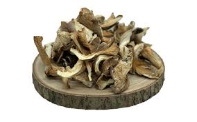 Pleurotes séchés vrac 1 kg