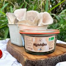 Pleurotes à l’huile 180g