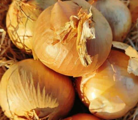 Sac oignon paille 2.5 Kg