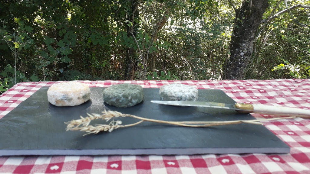 Fromage de chèvre sec la pièce