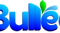 Bulleo désodorisant auto