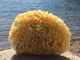 Cube de 100g 100% huile d'olive