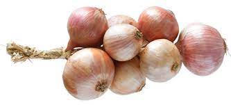 Oignons roses Bretagne