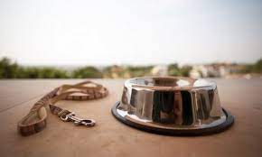 Gamelle inox antiderapante taille L