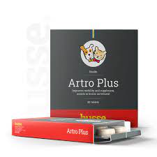 Artro plus Arthrose 30 comprimes