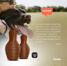 Jouet pour chien Kägel caoutchouc petit