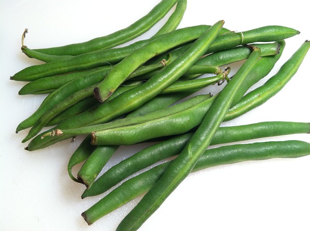 Haricots verts extra fin au naturel