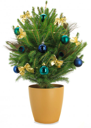 Le mini sapin des rois pot doré et décoration avec frais d'envoi