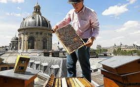 Miel des toits de Paris 500g