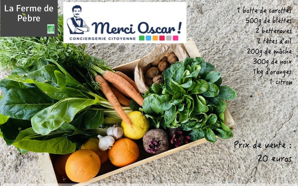 Panier de fruits et légumes Cité des Energies 20€