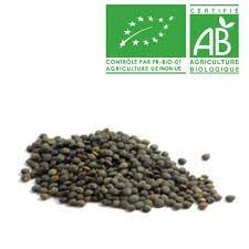 Lentilles vertes 500g