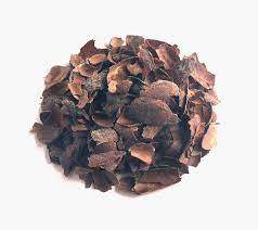 Ecorce de cacao 100g