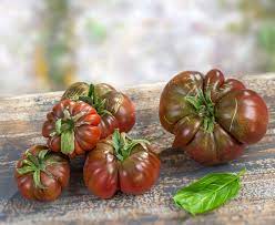 Tomate noire crimée