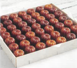 PAGNOTE DE MINI CANNELES 49P