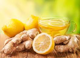 Infusion de Gingembre (20 sachets)