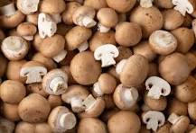 Champignons 500g