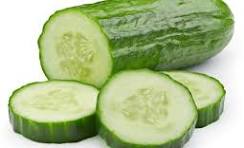 Concombre  Noa 1-2 pces