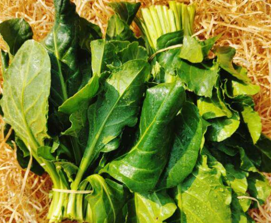 Blettes (1 ou 2 bouquets selon taille)