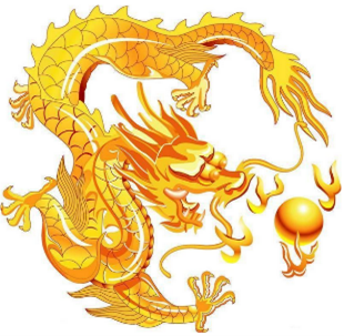 La boite de café moulu Golden Dragon de 250g