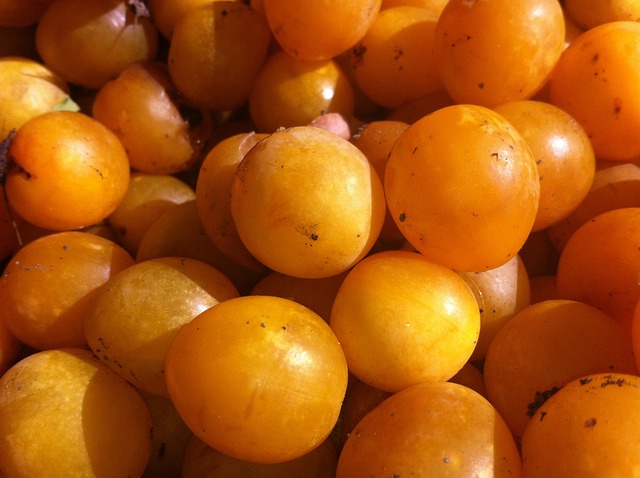 Prunes Reine Claude 500g