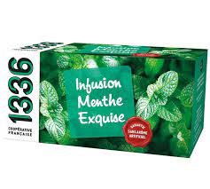 INF MENTHE EXQUISE