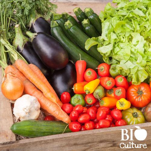 Familial légume, family vegetable basket