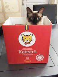 Litière naturelle Kattstro à bas de Bentonite rouge 10kg 