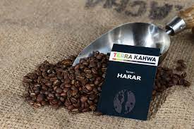 Café en grain Harar (gout fort) kg
