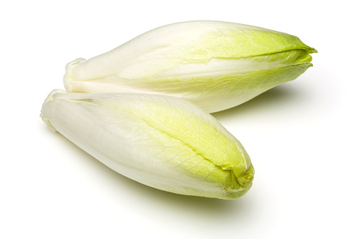 Endive bio