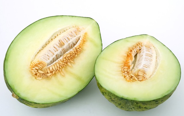 Melon vert