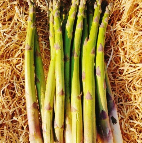 Asperges vertes 500g