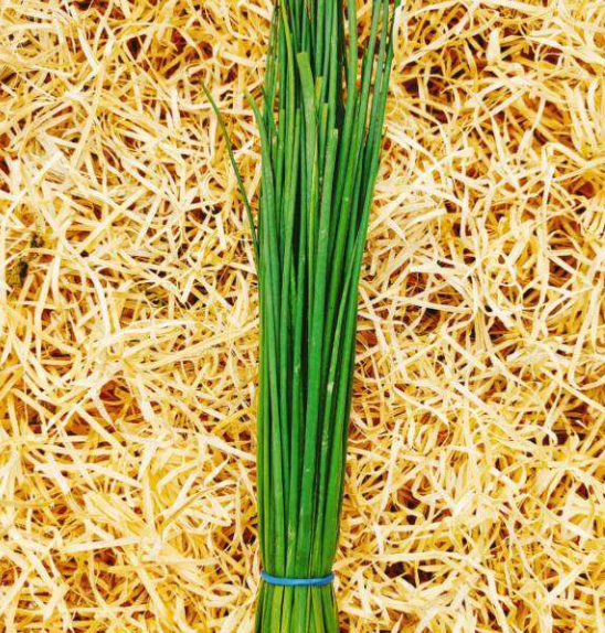 Ciboulette bouquet