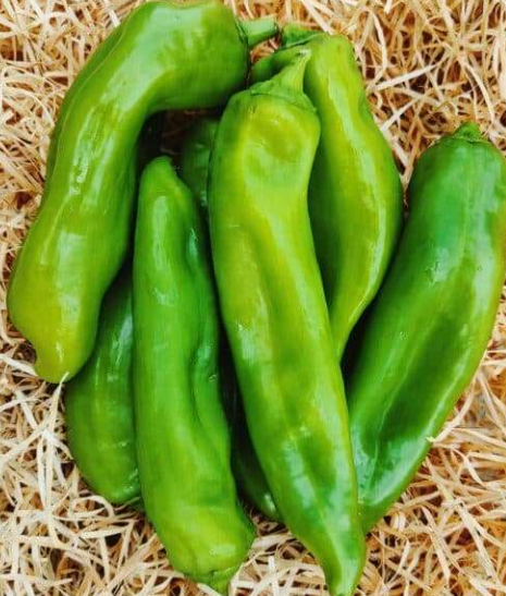 Poivrons verts 700g