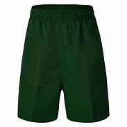 Short, bermuda