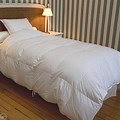 Duvet plume